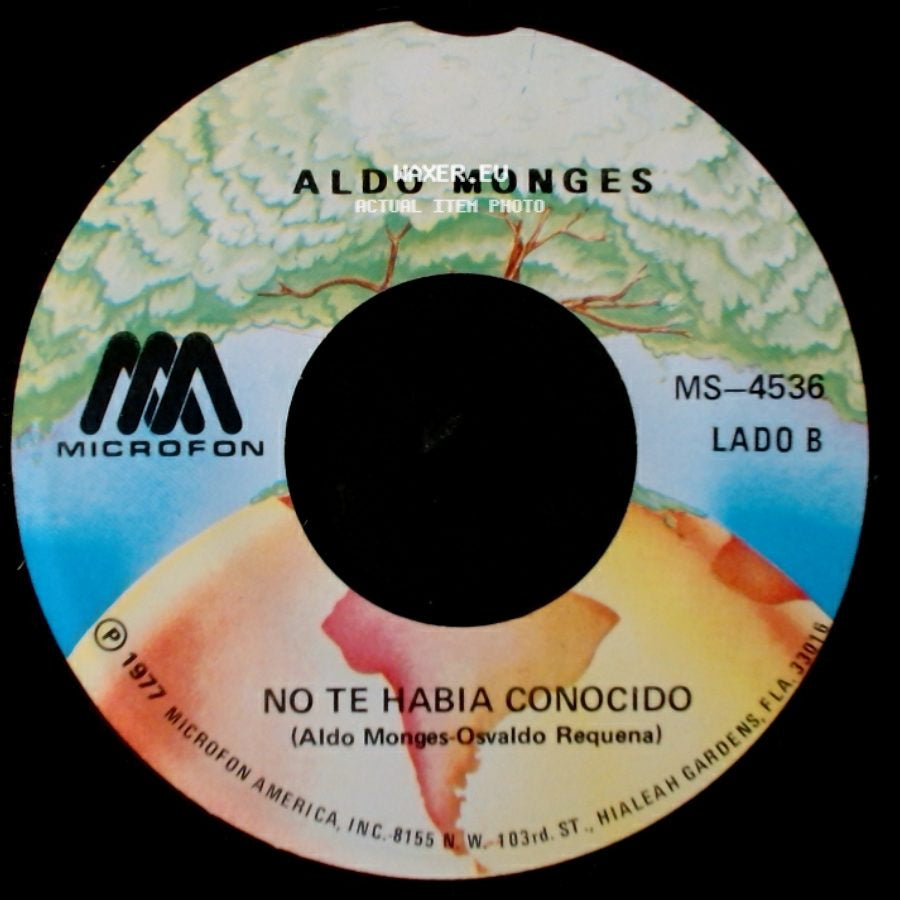 Aldo Monges - Un Hijo En Febrero / No Te Habia Conocido side B