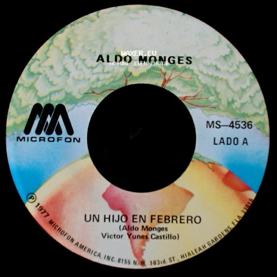 Aldo Monges - Un Hijo En Febrero / No Te Habia Conocido side A