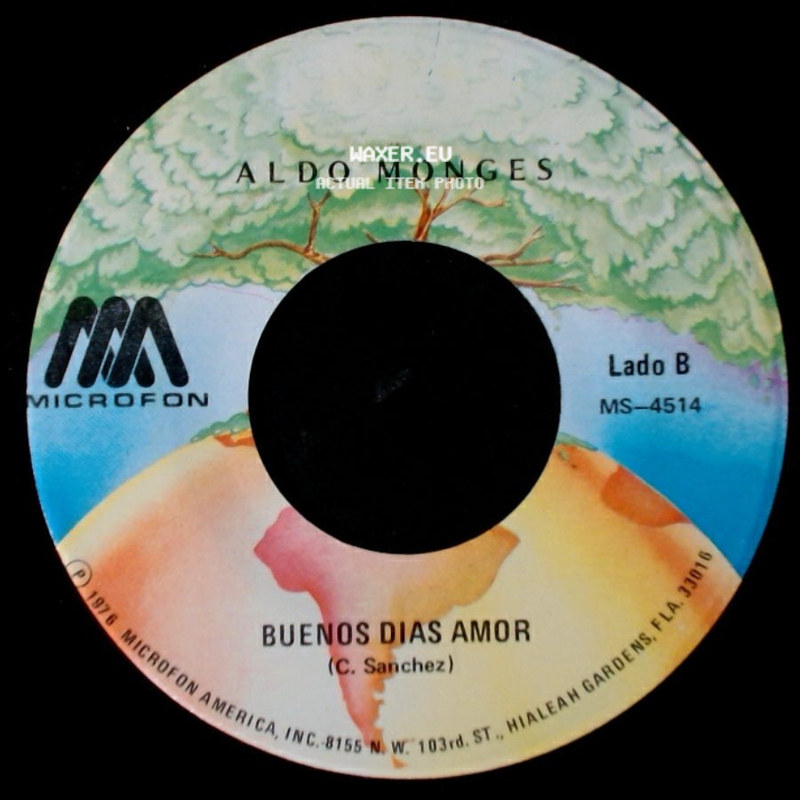 Aldo Monges - Querida Tristeza / Buenos Dias Amor side B