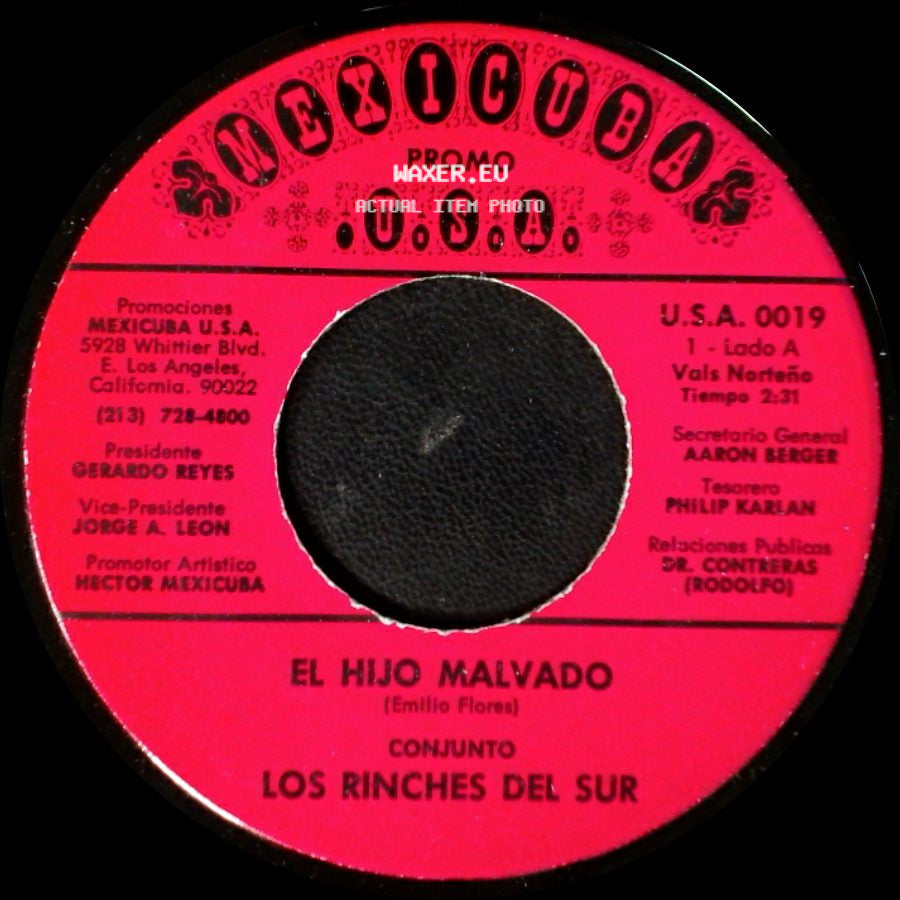 Conjunto Los Rinches Del Sur / Los Rinches Del Sur - El Hijo Malvado / La Troca side A