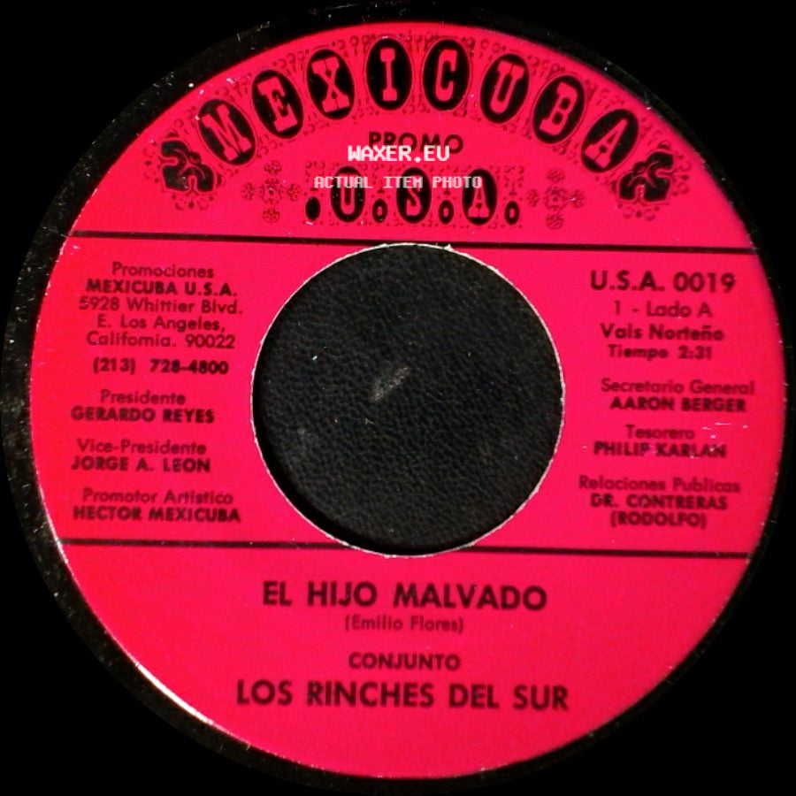 Los Rinches Del Sur / Conjunto Los Rinches Del Sur - El Hijo Malvado / La Troca side A