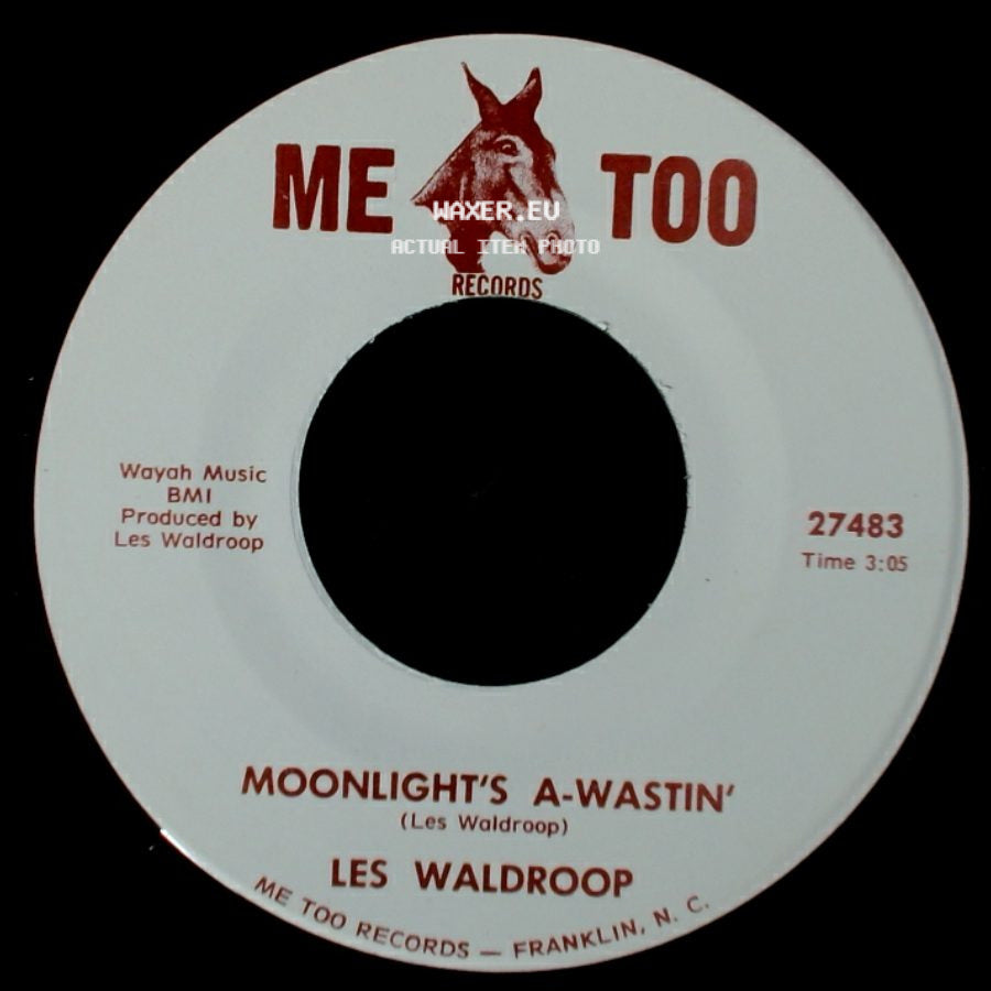 Les Waldroop - Watergate Bugs / Moonlight's A-Wastin' side B