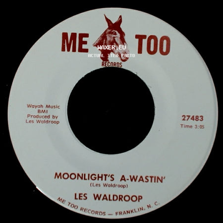 Les Waldroop - Watergate Bugs / Moonlight's A-Wastin' side B