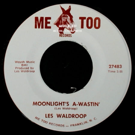 Les Waldroop - Moonlight's A-Wastin' / Watergate Bugs side A
