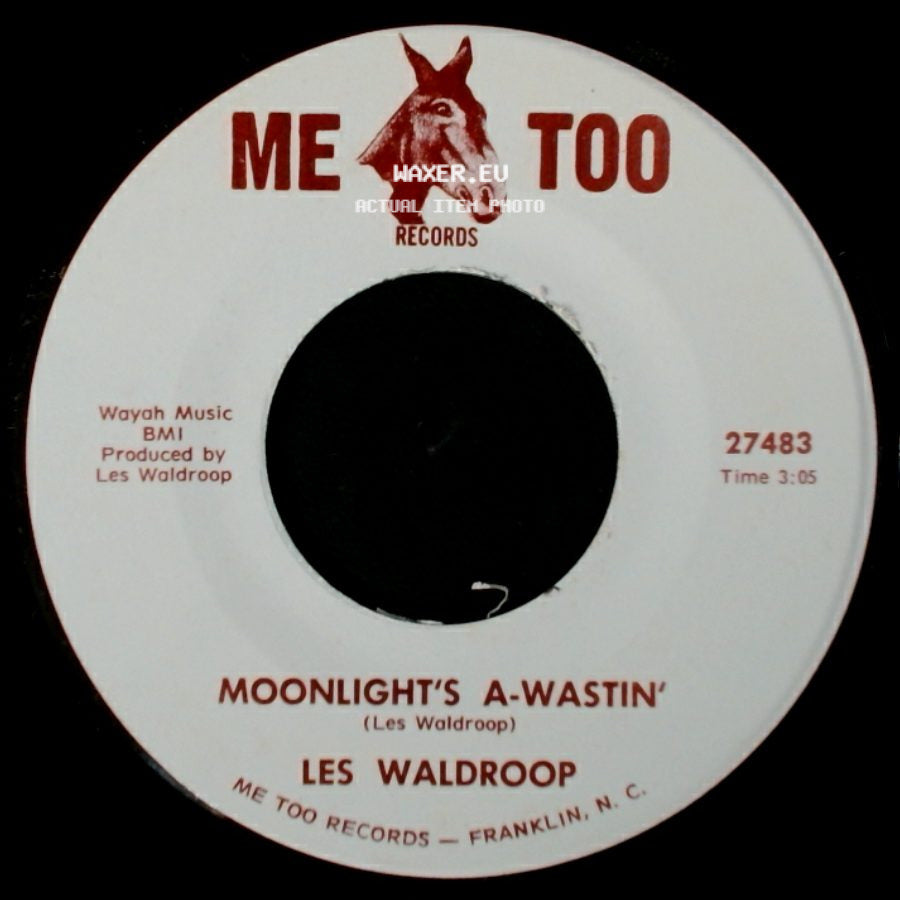 Les Waldroop - Moonlight's A-Wastin' / Watergate Bugs side A