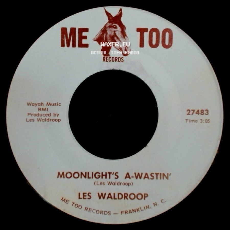 Les Waldroop - Watergate Bugs / Moonlight's A-Wastin' side B