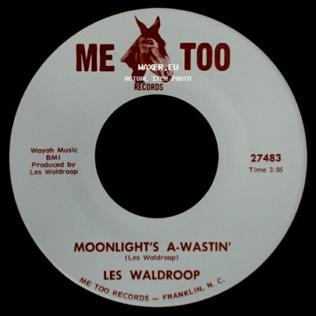 Les Waldroop - Moonlight's A-Wastin' / Watergate Bugs side A