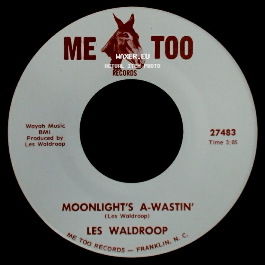 Les Waldroop - Moonlight's A-Wastin' / Watergate Bugs side A