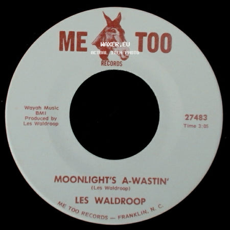 Les Waldroop - Moonlight's A-Wastin' / Watergate Bugs side A