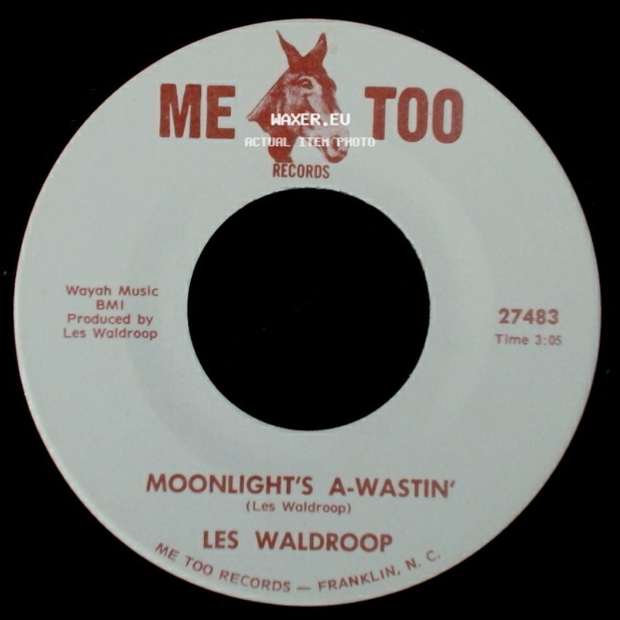 Les Waldroop - Moonlight's A-Wastin' / Watergate Bugs side A