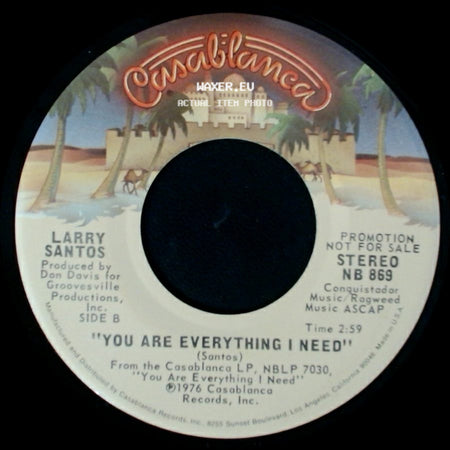 Larry Santos - Long, Long Time / You Are Everything I Need side B