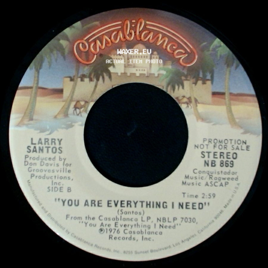 Larry Santos - Long, Long Time / You Are Everything I Need side B