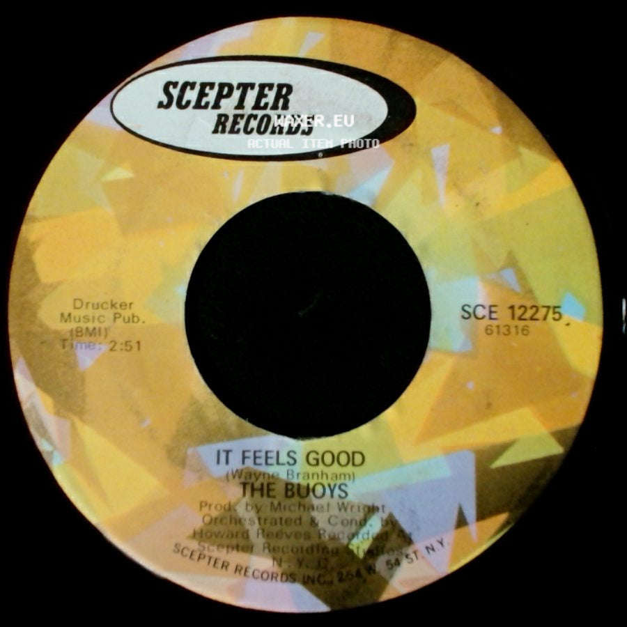 The Buoys - It Feels Good / Timothy side A