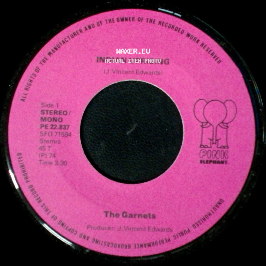 The Garnets - Indian Uprising / Teenage Summer Crash Course side A