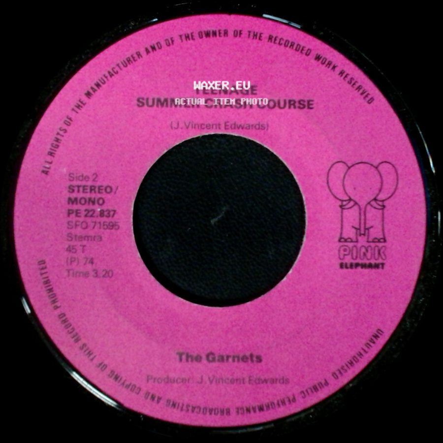 The Garnets - Indian Uprising / Teenage Summer Crash Course side B