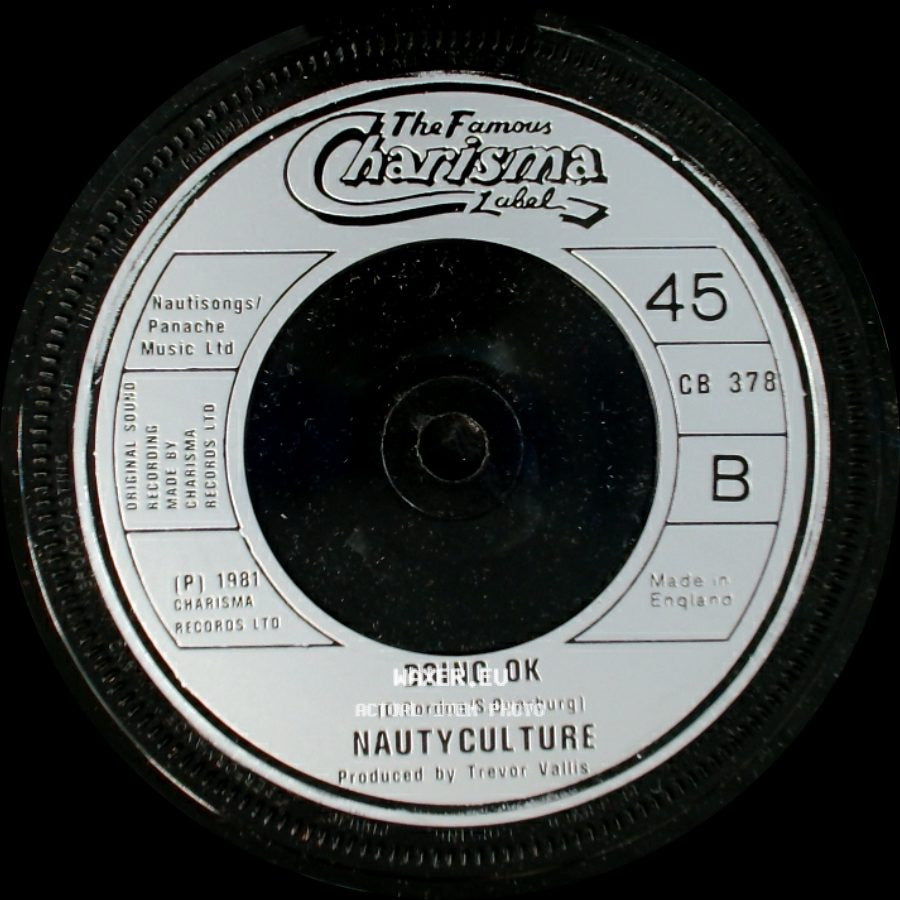 Nautyculture - Doing Ok / Once Upon A Time side A