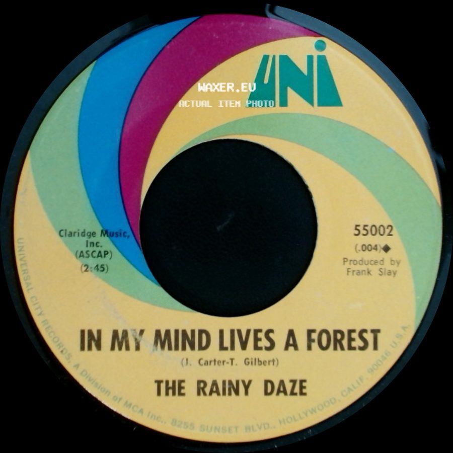 The Rainy Daze - That Acapulco Gold / In My Mind Lives A Forest side B