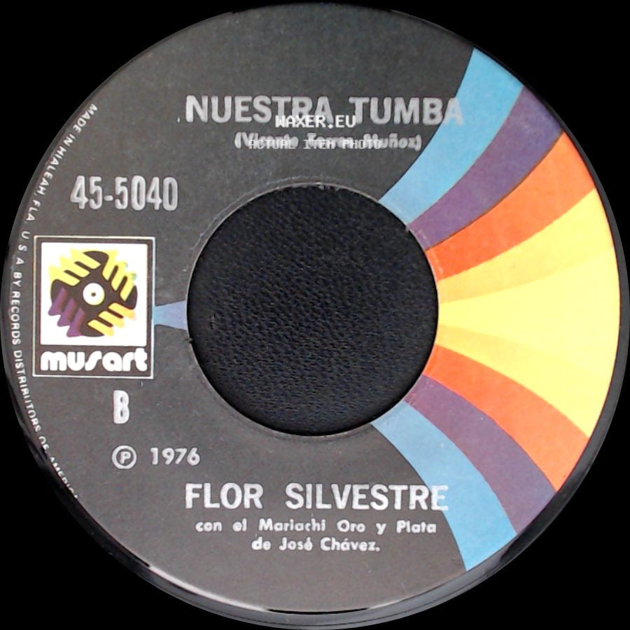 Flor Silvestre / Flor Silvestre Con El Mariachi Oro Y Plata De José Chávez. - Nuestra Tumba / La Basurita side A