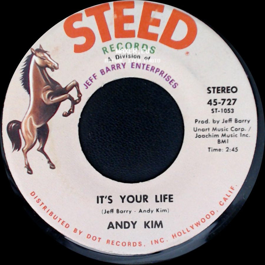 Andy Kim - It's Your Life / To Be Continued side A