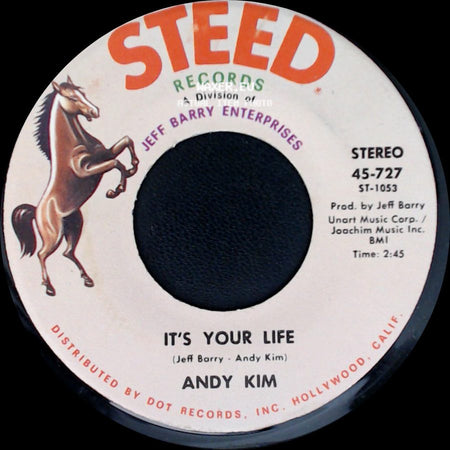 Andy Kim - It's Your Life / To Be Continued side A