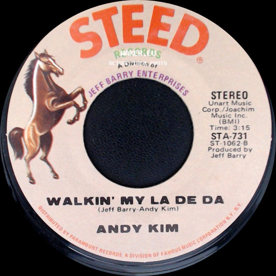 Andy Kim - Walkin' My La De Da / I Wish I Were side A