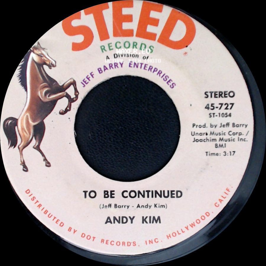 Andy Kim - It's Your Life / To Be Continued side B