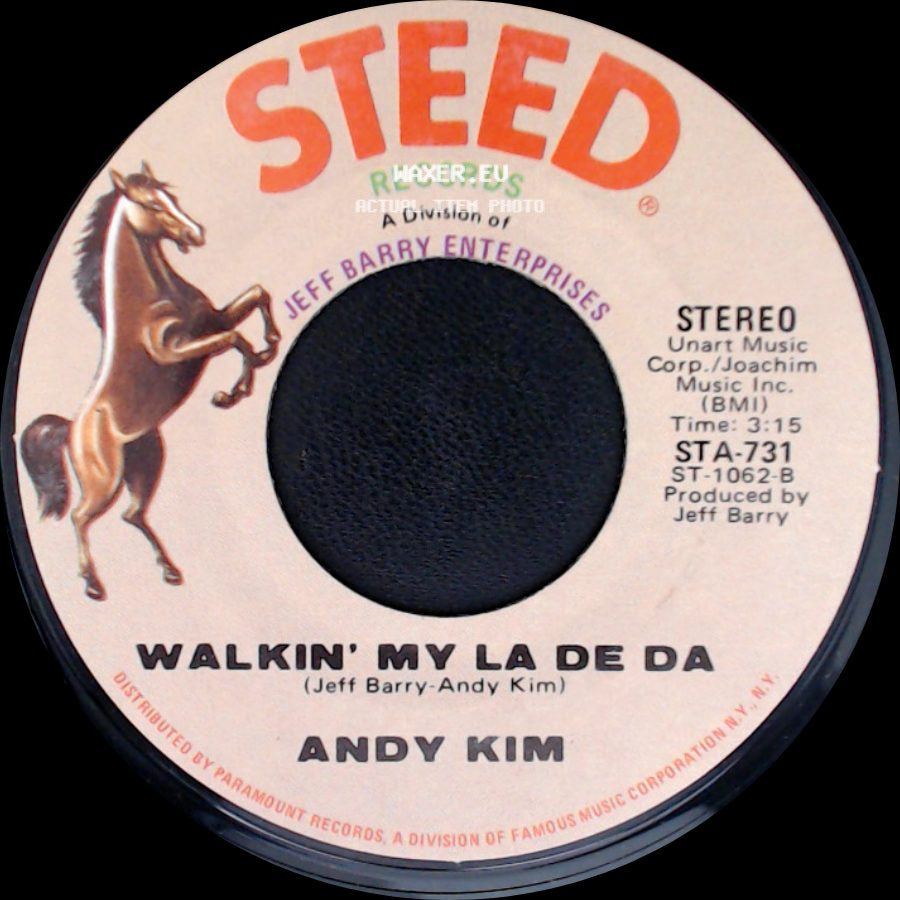 Andy Kim - I Wish I Were / Walkin' My La De Da side B