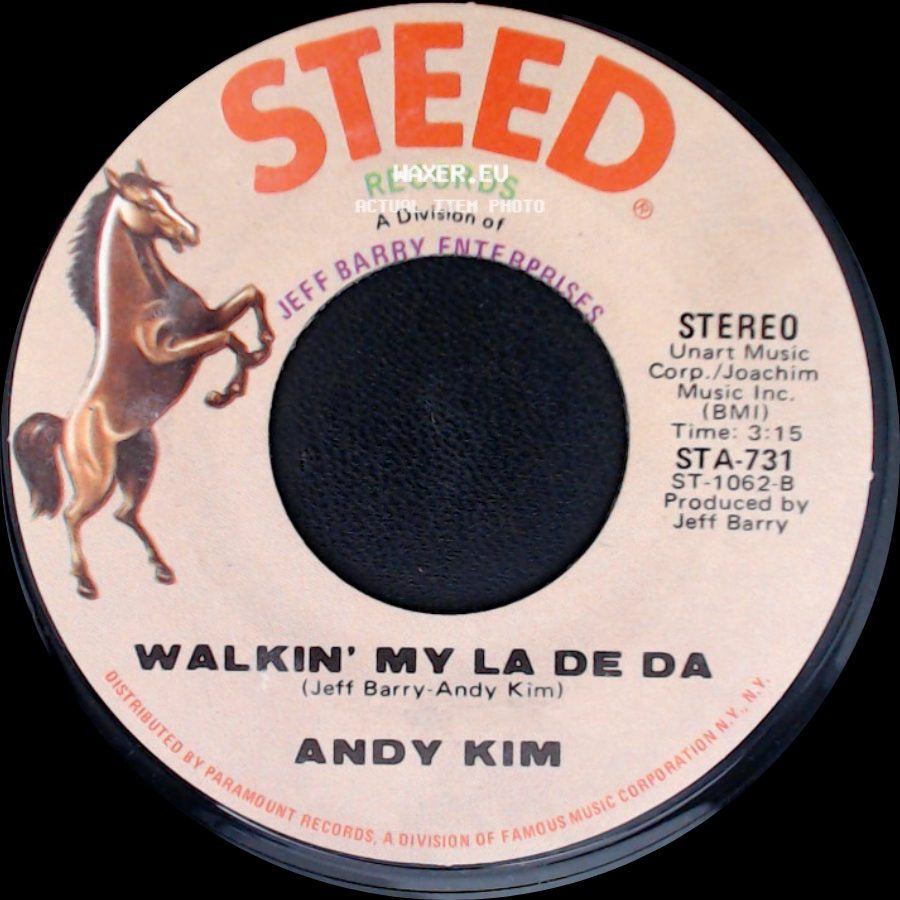 Andy Kim - Walkin' My La De Da / I Wish I Were side A