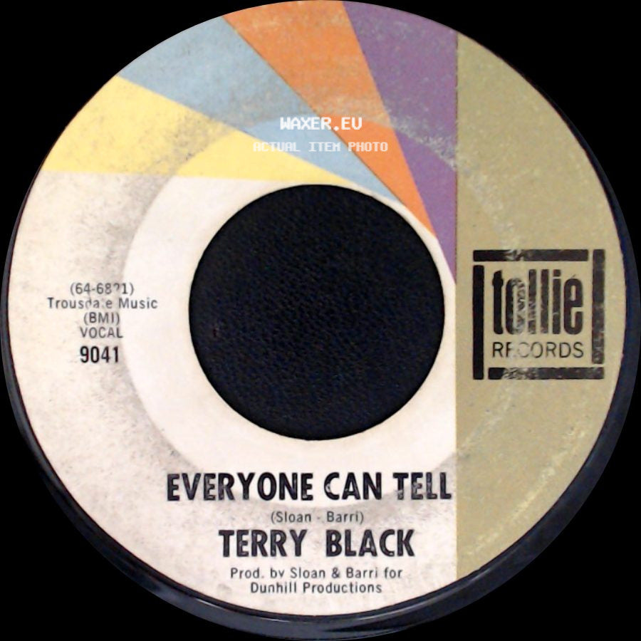 Terry Black - Everyone Can Tell / Say It Again side A