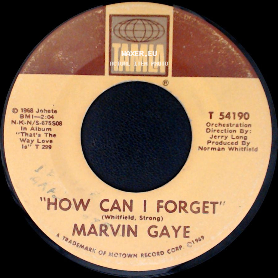 Marvin Gaye - Gonna Give Her All The Love I've Got / How Can I Forget side B