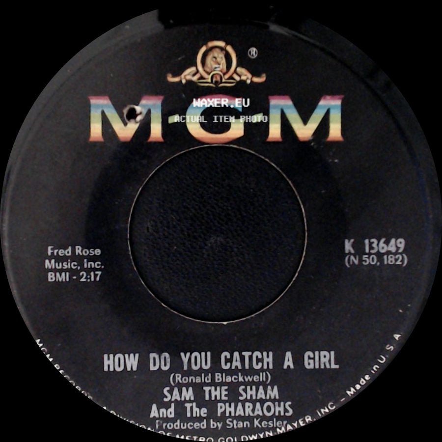 Sam The Sham And The Pharaohs - The Love You Left Behind / How Do You Catch A Girl side B