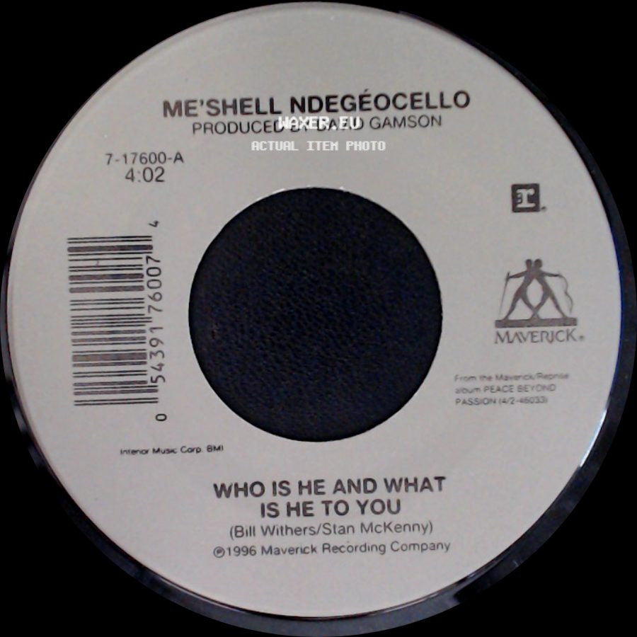 Me'shell Ndegeocello - Who Is He And What Is He To You / Leviticus: Faggot side A