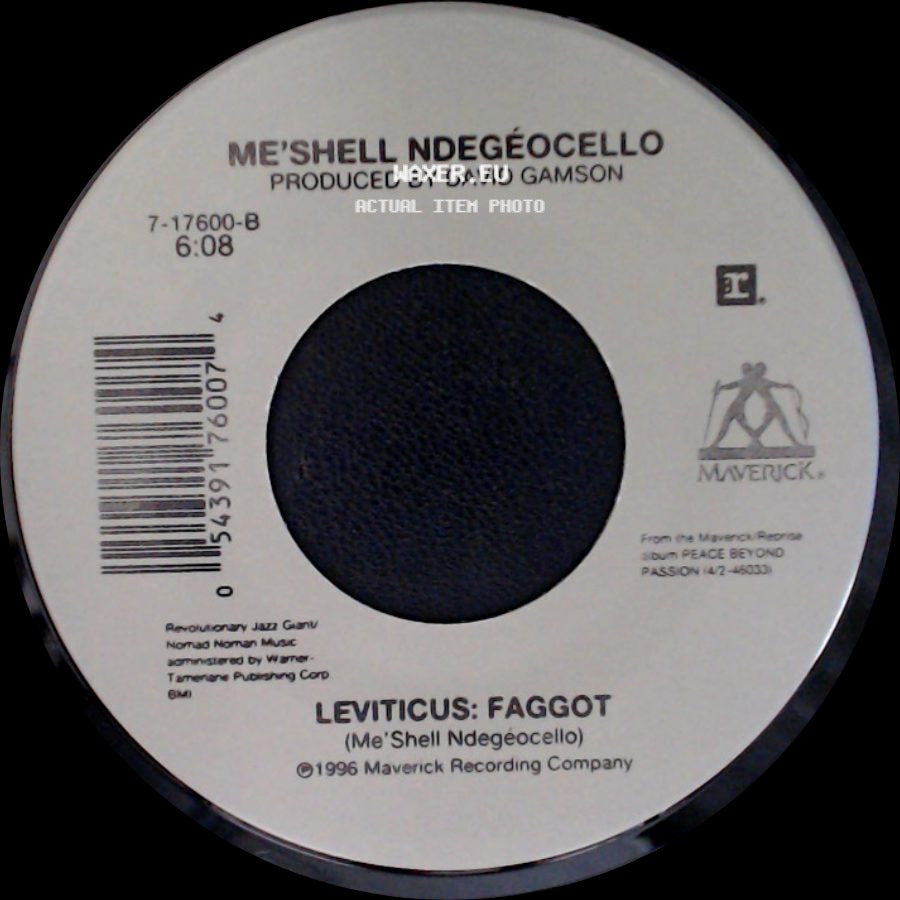 Me'shell Ndegeocello - Who Is He And What Is He To You / Leviticus: Faggot side B