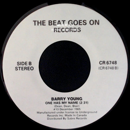 Robin Ward / Barry Young - Wonderful Summer / One Has My Name side B