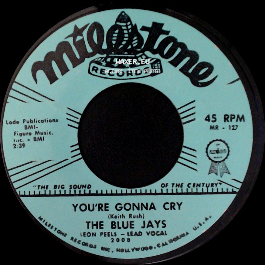 The Blue Jays - Lover's Island / You're Gonna Cry side B