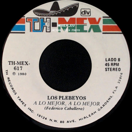 Los Plebeyos - Que Calor, Que Calor / A Lo Mejor, A Lo Mejor side B