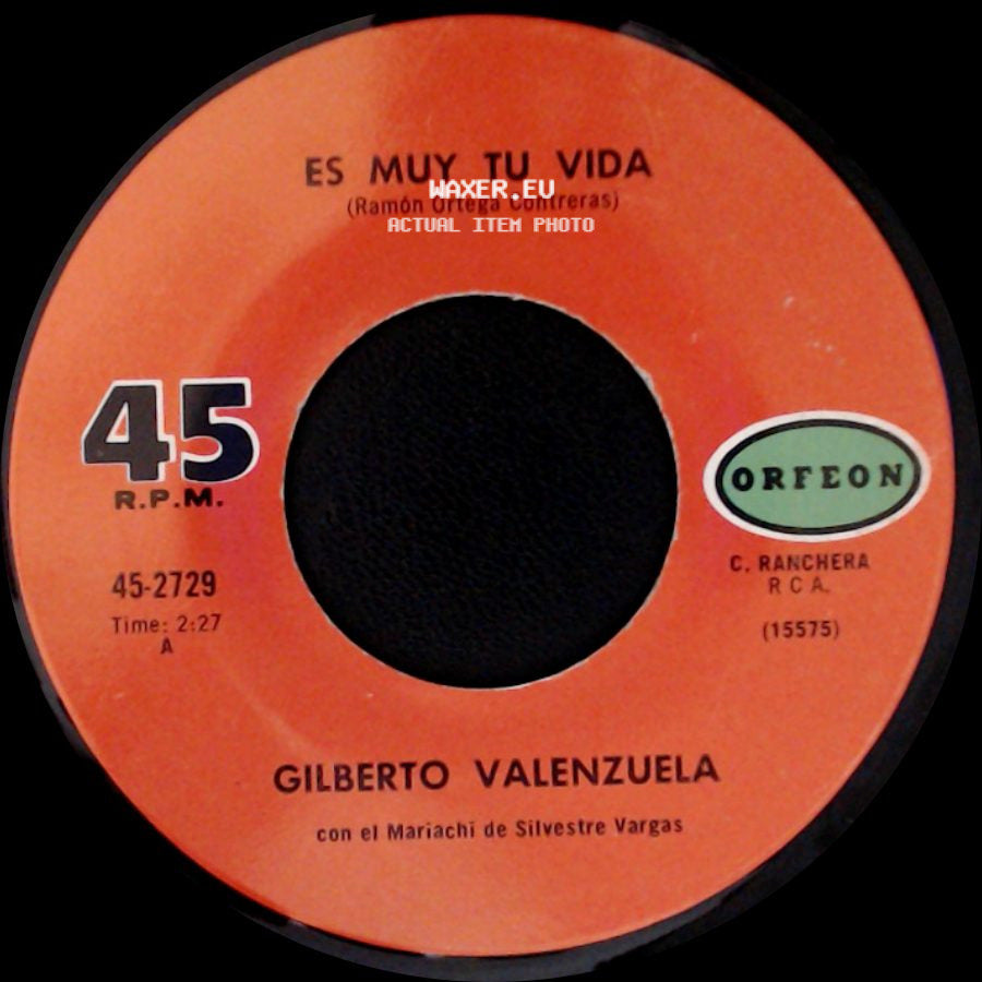 Gilberto Valenzuela - Te Solte La Rienda / Es Muy Tu Vida side B