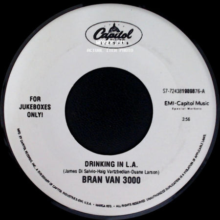 Bran Van 3000 - Everywhere / Drinking In L.A. side B