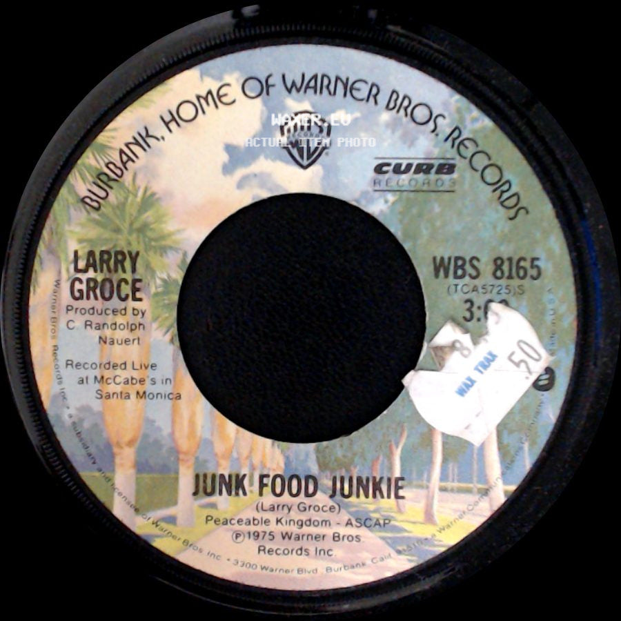 Larry Groce - Junk Food Junkie / Muddy Boggy Banjo Man side A