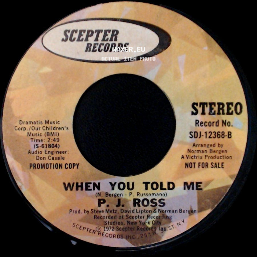 P. J. Ross - Put Your Head On My Shoulder / When You Told Me side B