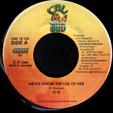 Q Q - Never Know The Use Of Her / Rh Yth Kingston Jamaica side A