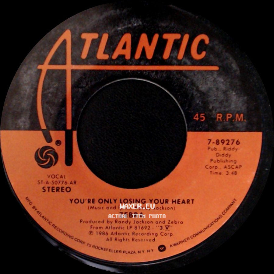 Zebra - You're Only Losing Your Heart / Take Your Fingers From My Hair side A