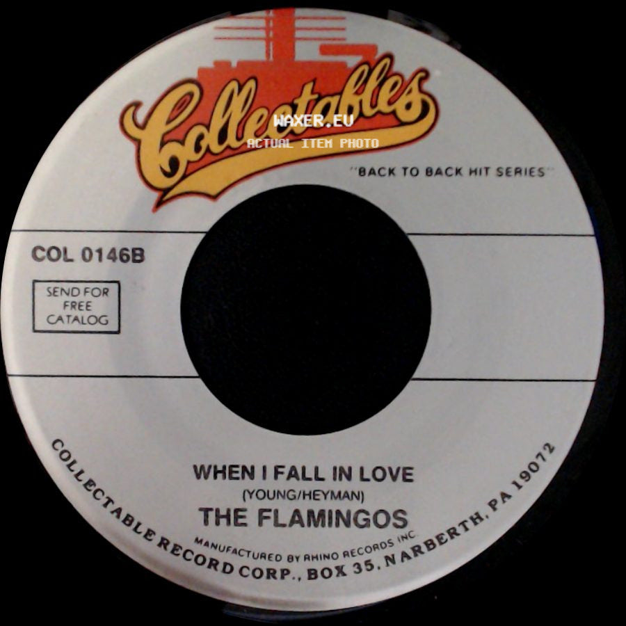 The Flamingos - When I Fall In Love / Nobody Loves Me Like You side A