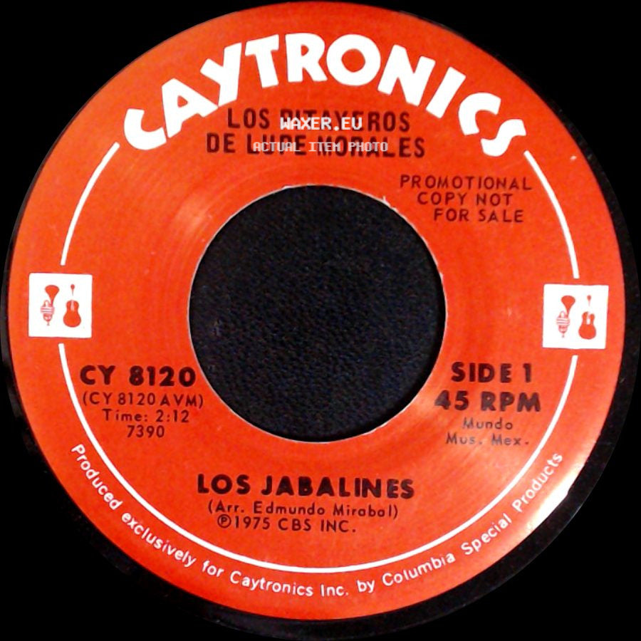 Los Pitayeros De Lupe Morales - Los Jabalines / El Pueblo De Ameca side A