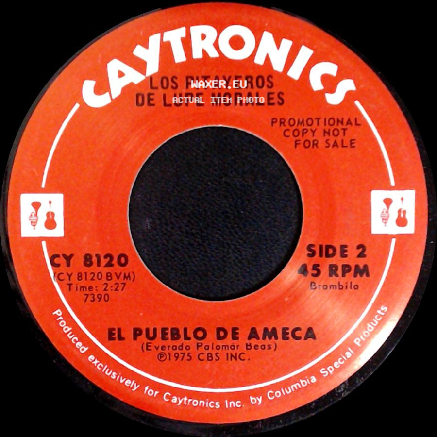 Los Pitayeros De Lupe Morales - Los Jabalines / El Pueblo De Ameca side B