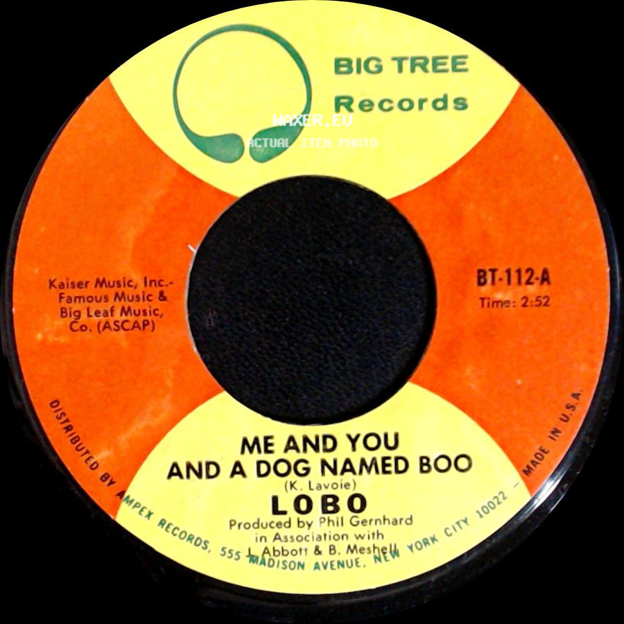 Lobo - Me And You And A Dog Named Boo / Walk Away From It All side A