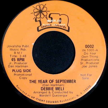 Debbie Meli - Take My Love / The Year Of September side B