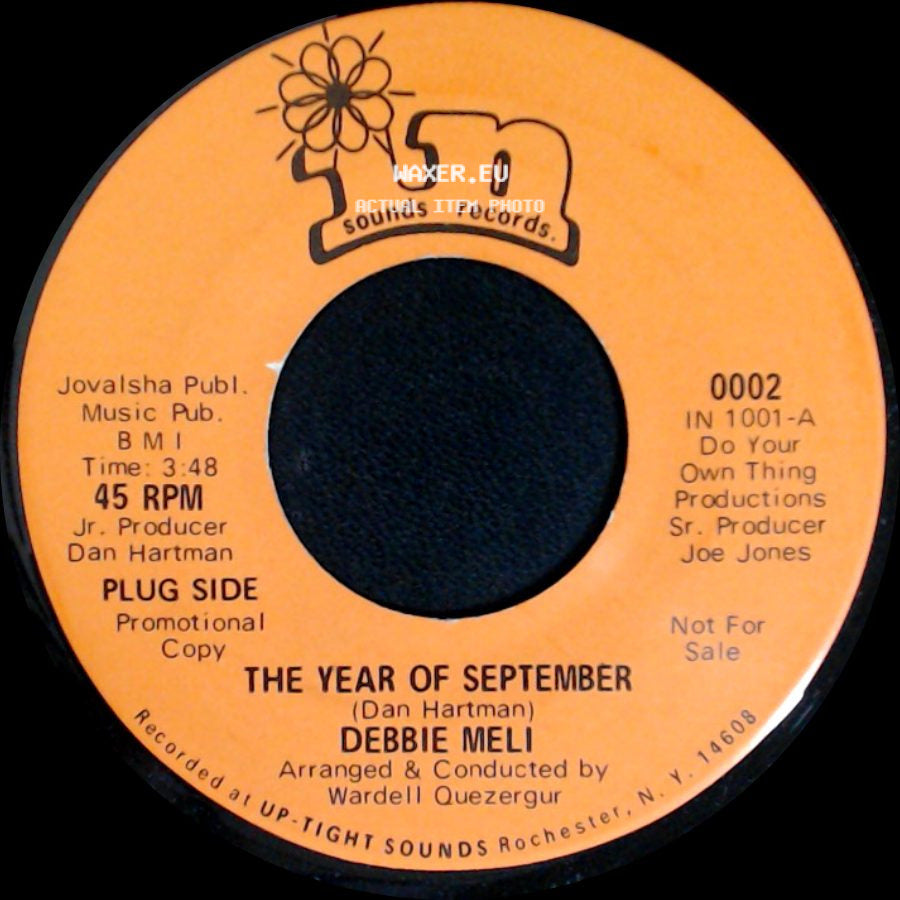Debbie Meli - Take My Love / The Year Of September side B