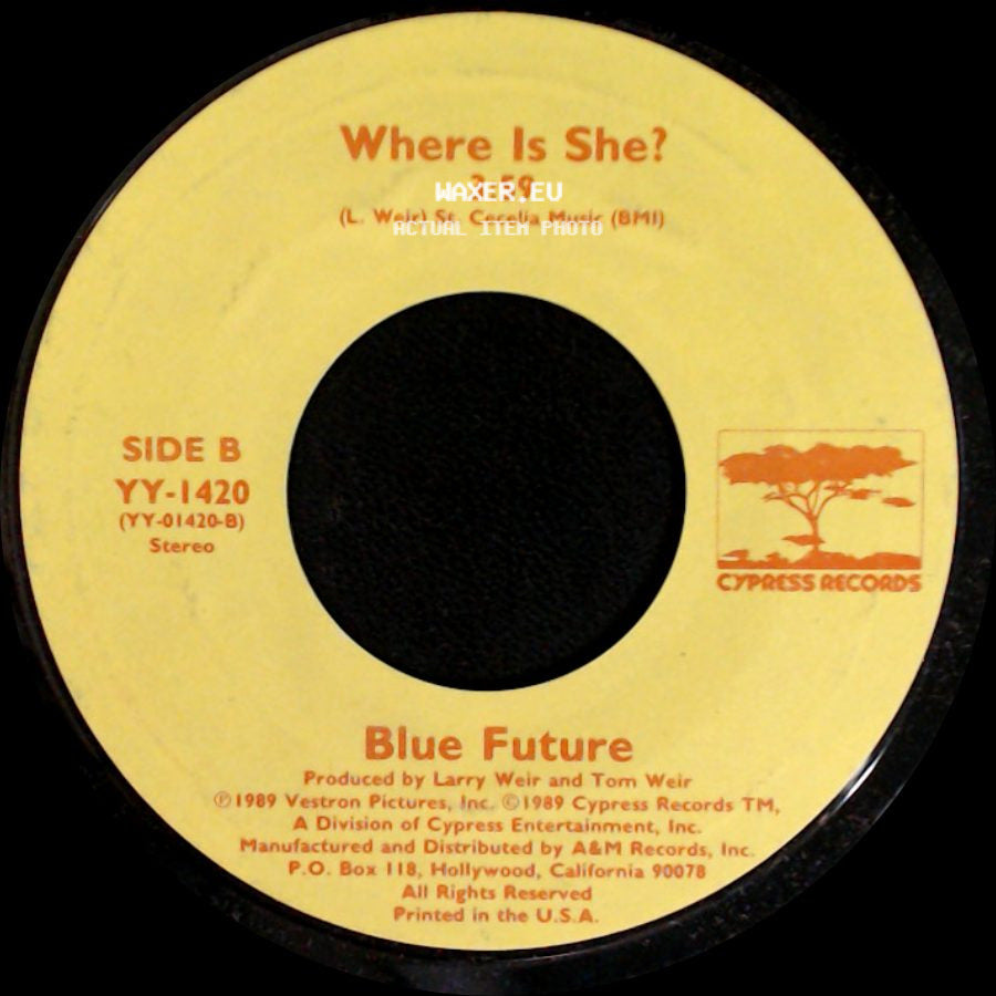 Michael Damian / Blue Future - Rock On / Where Is She? side B