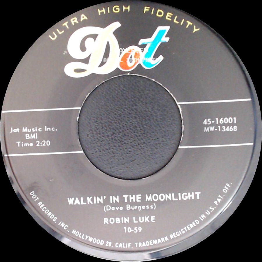 Robin Luke - Walkin' In The Moonlight / Make Me A Dreamer side A
